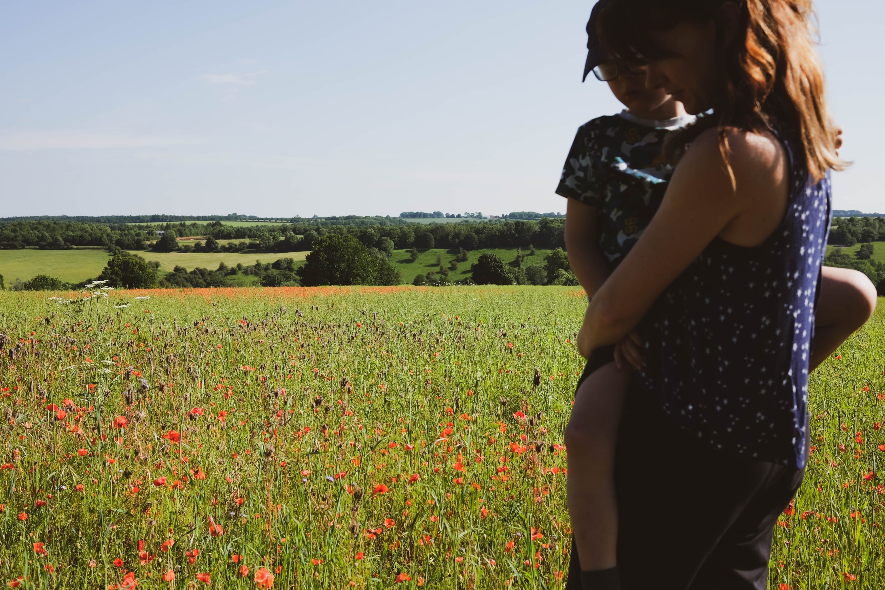Best flower fields in the UK: When to see snowdrops, bluebells, lavender and sunflowers