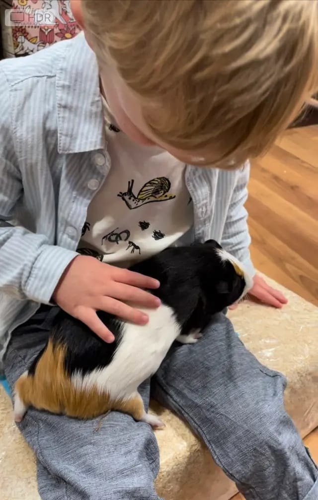 Free Pets at Home Workshops for Kids are Back for Easter 2026